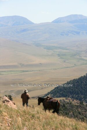 East-Fork Blacktail view from top - copyright Susan Marxer, Saddlescenes Photography