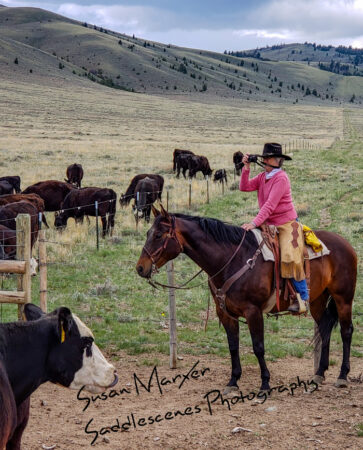 Susan Marxer, Photographer, Saddlescenes Photography, Montana ranches